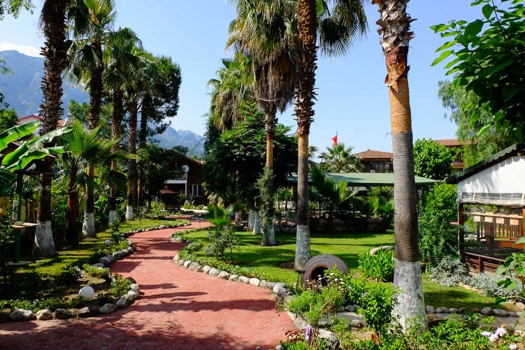 The garden