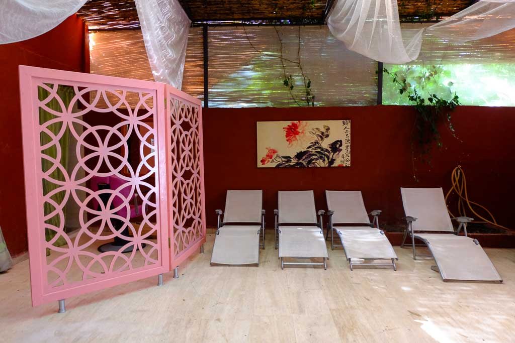 Yoga & wellness