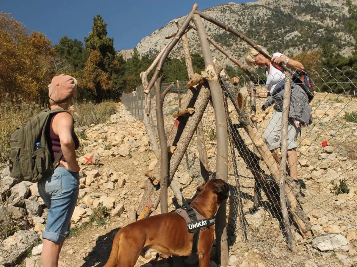Experience Kemer
