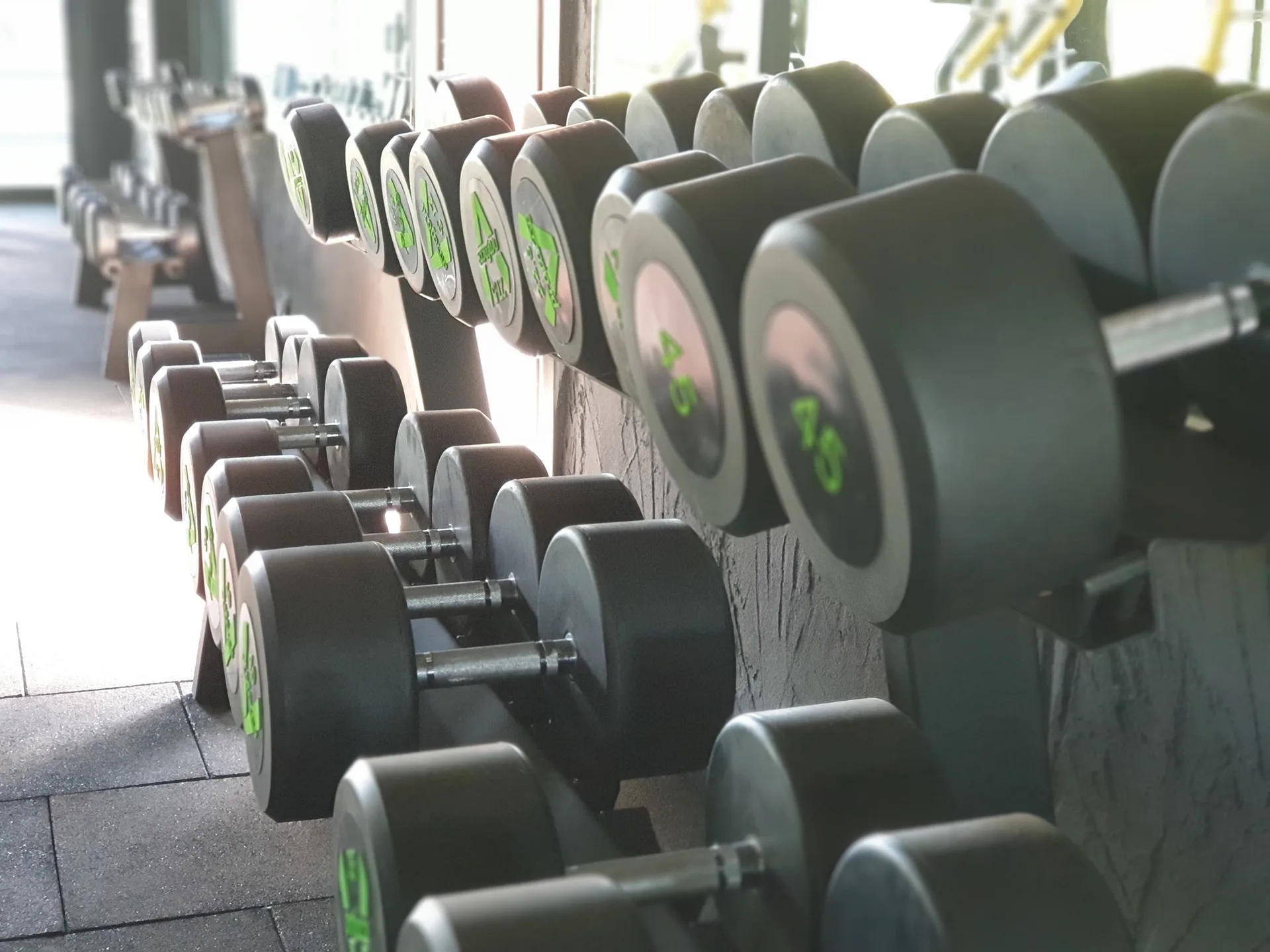 Dumbbells at the gym (Archive photo, 2021)