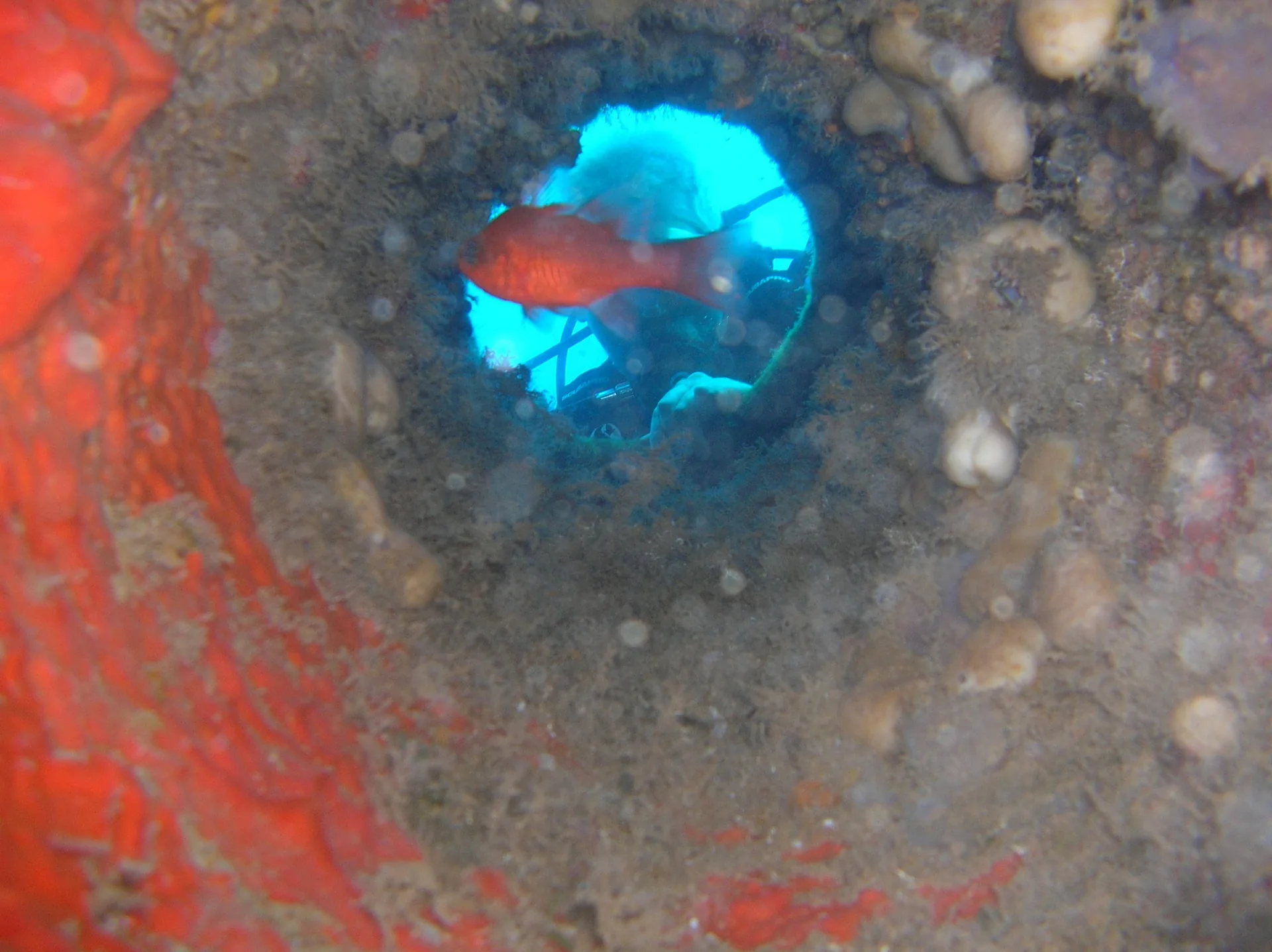 View through a round opening underwater
