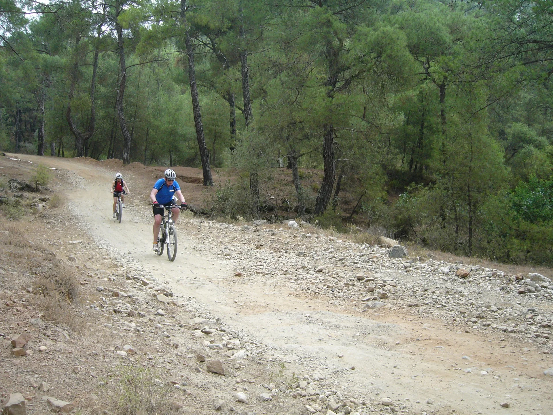 Two cyclists on a forest road