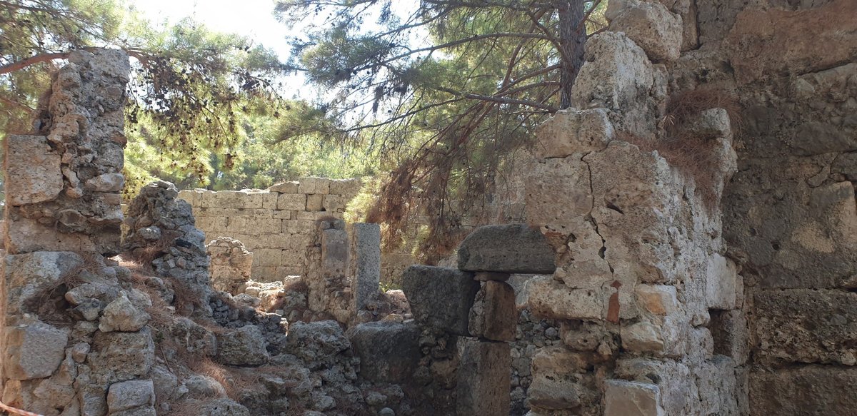 Antikes Mauerwerk zwischen Pinien in Phaselis