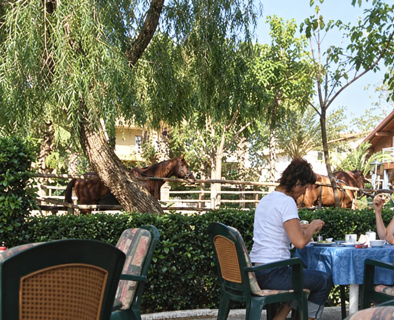 Desayuno en el jardín de Erendiz, con un caballo al fondo.