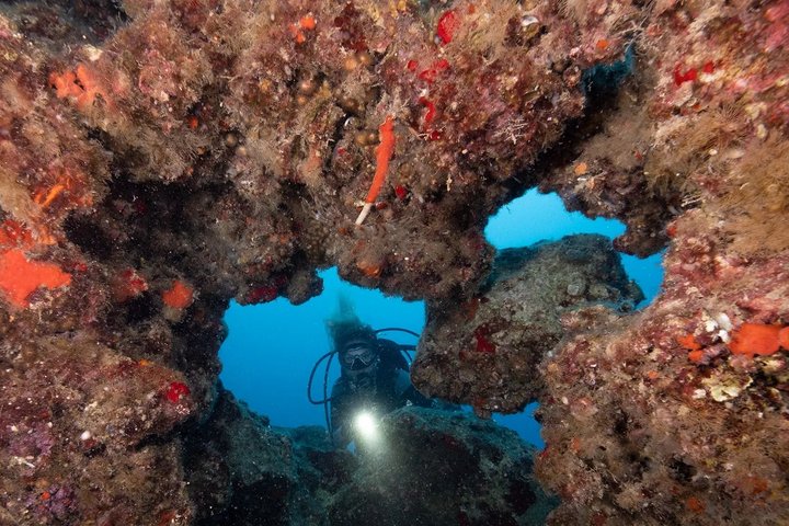 Diver behind an overgrown rock opening