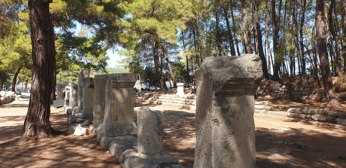 Antike Steinreste im Pinienhain von Phaselis