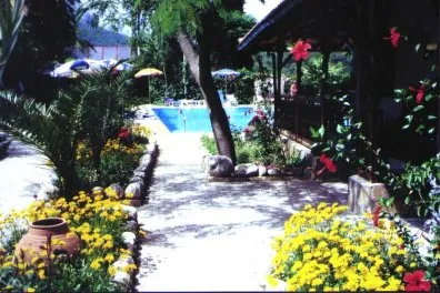 Vista histórica de un sendero del jardín con flores, palmeras y la piscina al fondo.