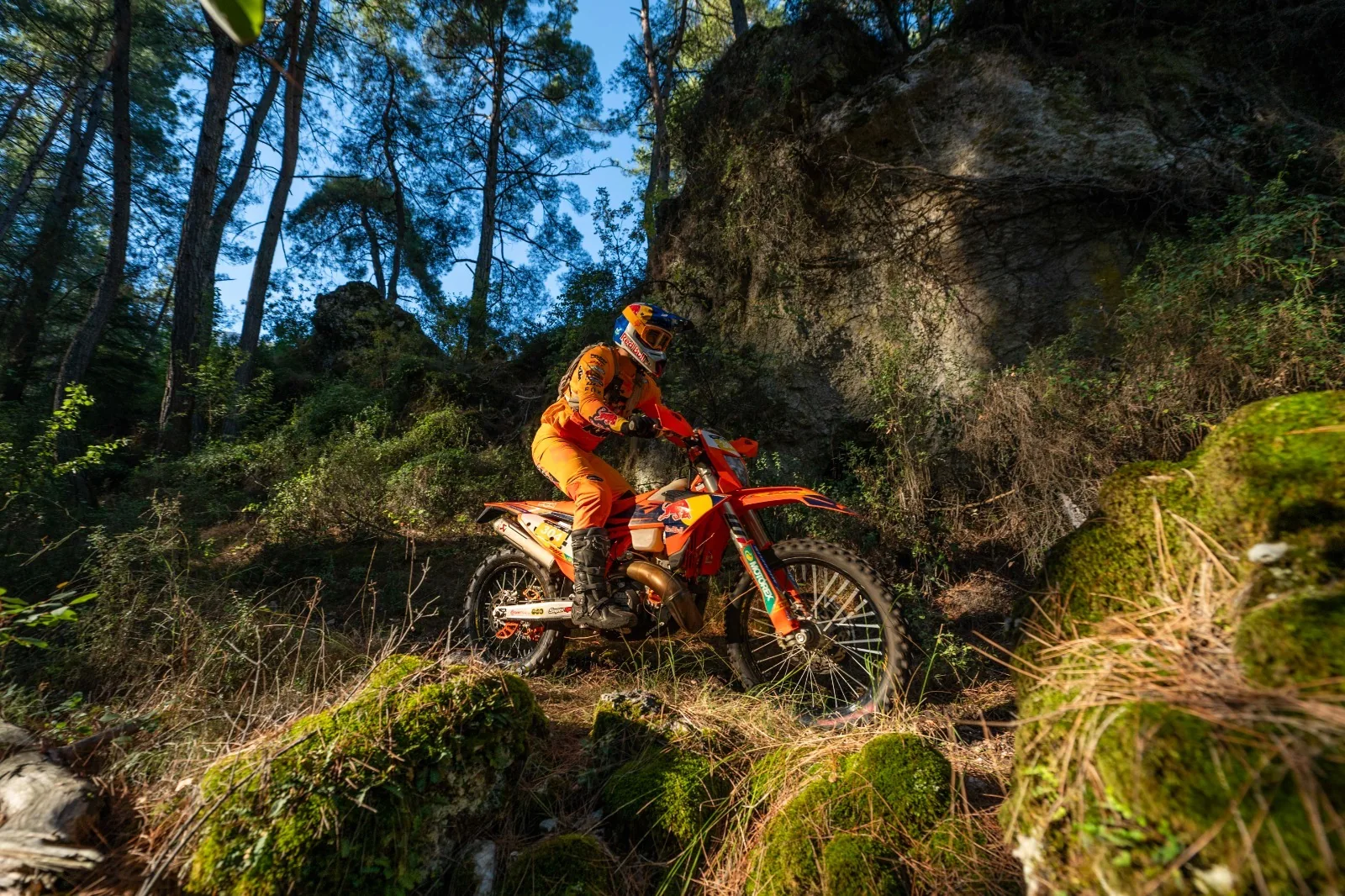 Sea to Sky 2025: a technical section of the forest stage