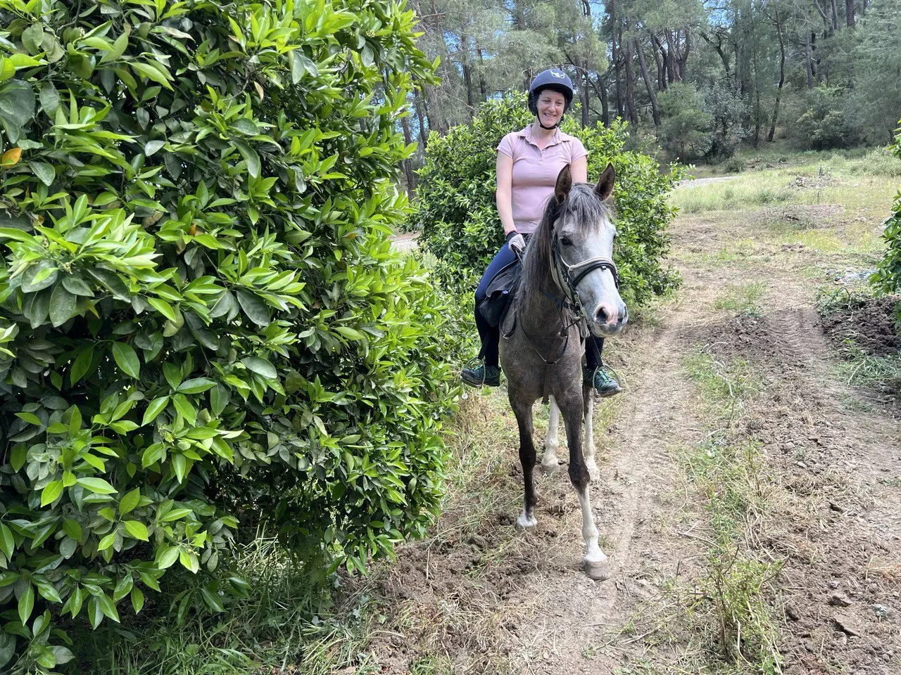 Rider on a forest path among green trees